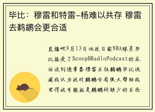 毕比：穆雷和特雷-杨难以共存 穆雷去鹈鹕会更合适